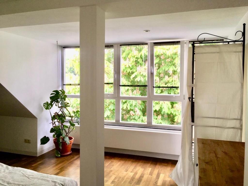 Maisonette Suedstadtvilla Apartment *
